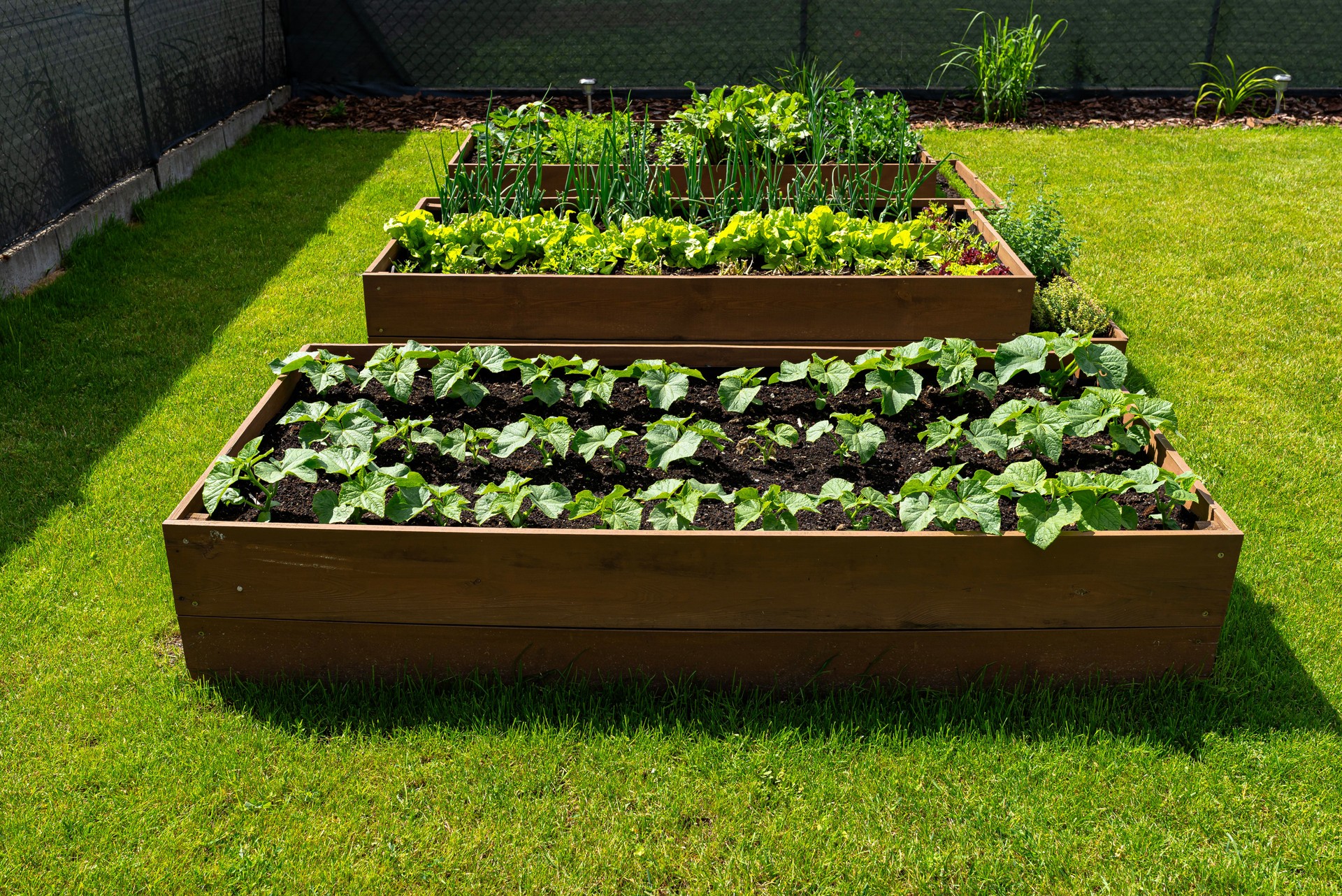 A wooden crate with various vegetables, standing on the grass in the garden.