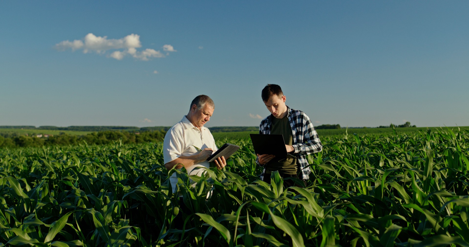 Two farmers from different generations collaborating in a cornfield, using a laptop. Concept of learning and knowledge transfer