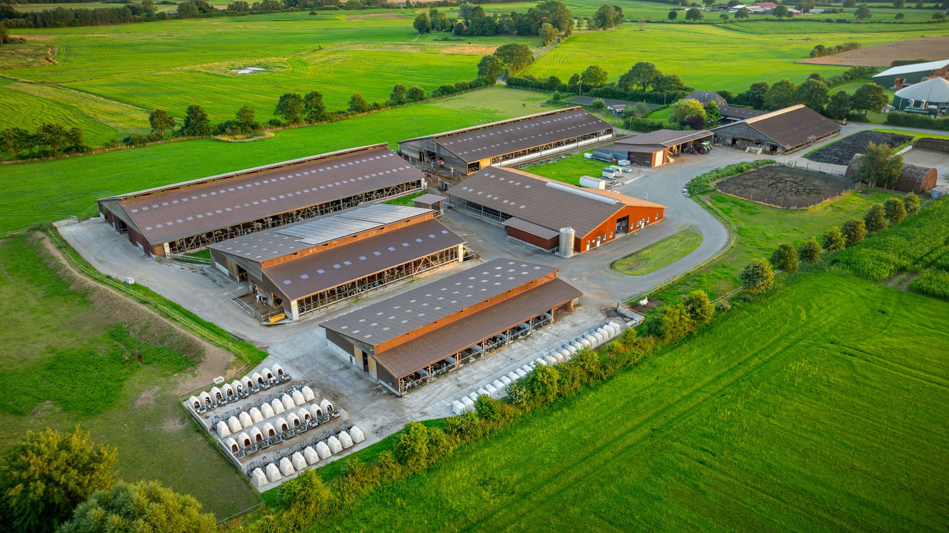 Dairy farm, featuring multiple large barns, green fields, cattle facilities and small animal housing units. Modern agriculture livestock farm with photovoltaic panels on the roofs of barn.