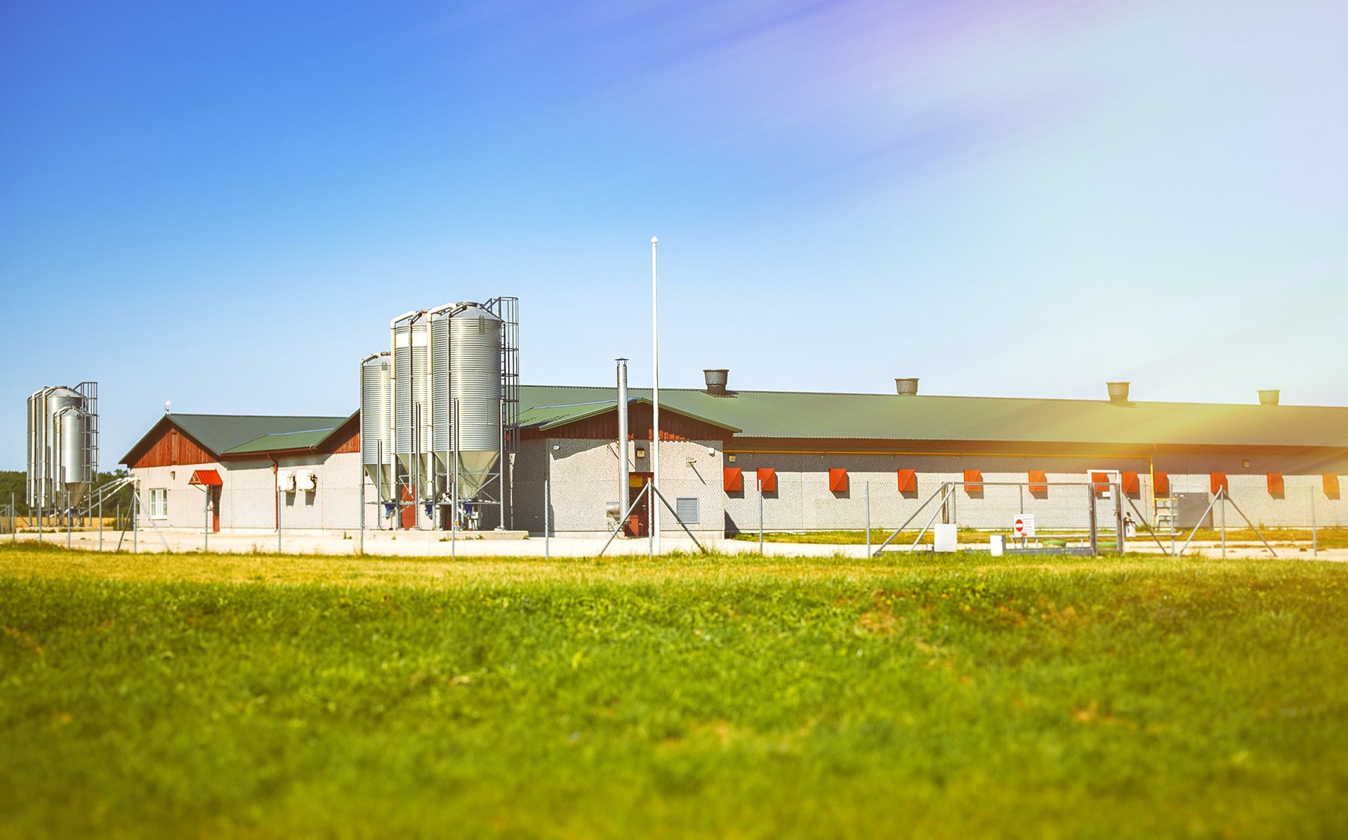 Broiler chicken breeding factory in countryside.