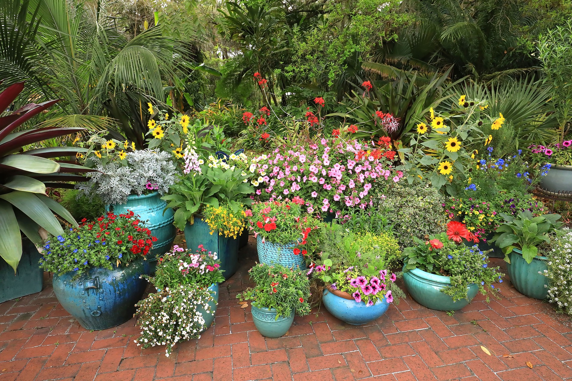 Large Blue Pots Filled with Flowers